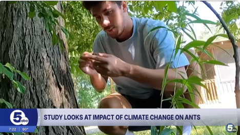 UA Field Station Research Explores Tiny Ants and Big Climate Questions